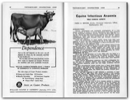 1960 Page 38 39